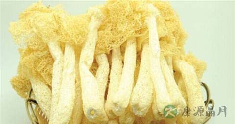 棘托竹荪的营养价值_吃棘托竹荪的好处