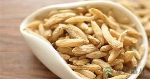 麦冬和什么煲汤