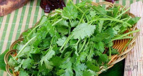 芜荽的营养价值_吃芜荽的好处