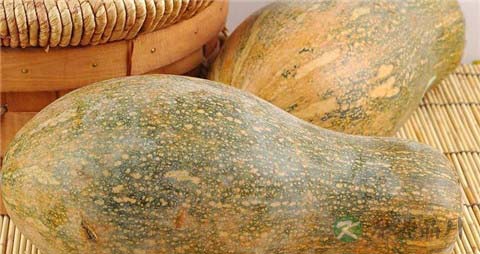 老南瓜的功效与作用