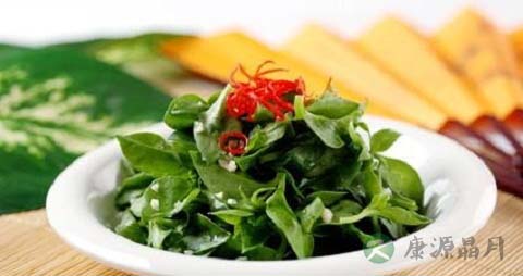 穿心莲的吃法_哪些人不能吃穿心莲 穿心莲的吃法_哪些人不能吃穿心莲