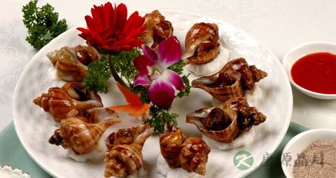 红螺的营养价值_吃红螺的好处