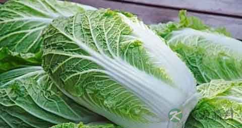 青白口的营养价值_吃青白口的好处