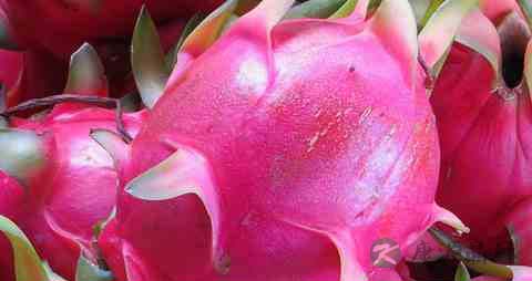 晚上吃火龙果的危害 晚上吃火龙果的危害