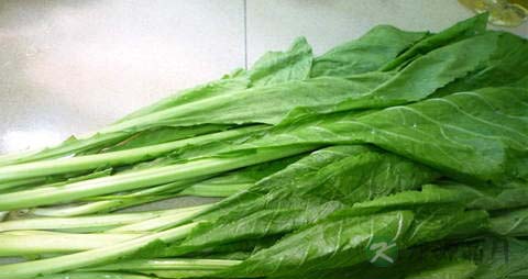 报春菜的吃法_哪些人不能吃报春菜