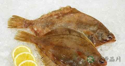 凸眼鱼的营养价值_吃凸眼鱼的好处