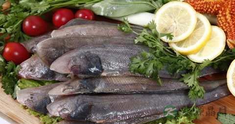 鮸鱼的营养价值_吃鮸鱼的好处 鮸鱼的营养价值_吃鮸鱼的好处