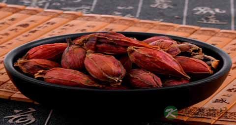 山栀子的吃法_哪些人不能吃山栀子