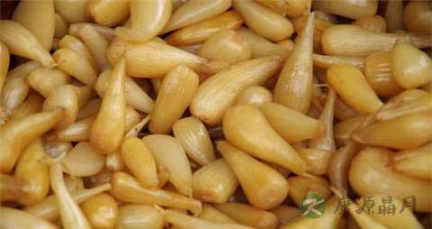 茭头的吃法_哪些人不能吃茭头