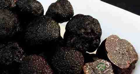 松露的吃法_哪些人不能吃松露