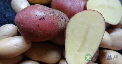 土豆切开后怎么保存 土豆切开后怎么保存