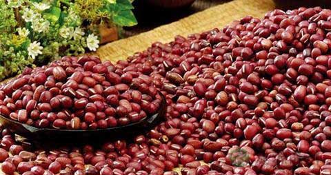 赤小豆的营养价值_吃赤小豆的好处