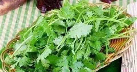 芫荽的吃法_哪些人不能吃芫荽