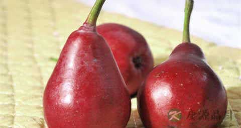 红茄梨的吃法_哪些人不能吃红茄梨 红茄梨的吃法_哪些人不能吃红茄梨