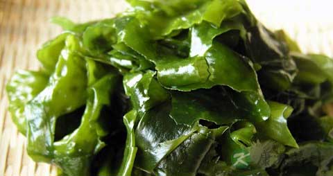 裙带菜的吃法_哪些人不能吃裙带菜