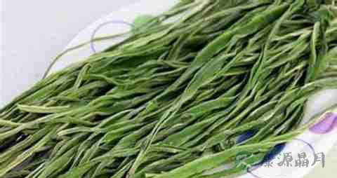 贡菜的营养价值_吃贡菜的好处