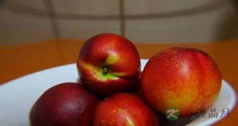 油桃的吃法_哪些人不能吃油桃