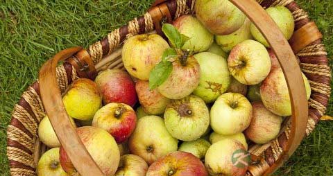 红酒能做什么甜品 红酒能做什么甜品