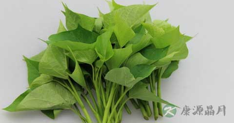 红薯苗的营养价值_吃红薯苗的好处