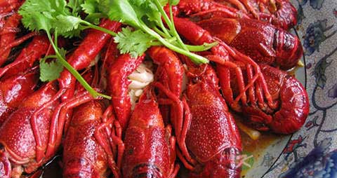 哪里的小龙虾最好吃