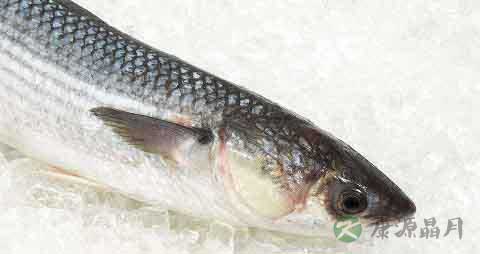 白眼棱鱼的营养价值_吃白眼棱鱼的好处 白眼棱鱼的营养价值_吃白眼棱鱼的好处