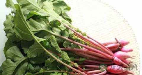 萝卜樱的营养价值_吃萝卜樱的好处 萝卜樱的营养价值_吃萝卜樱的好处