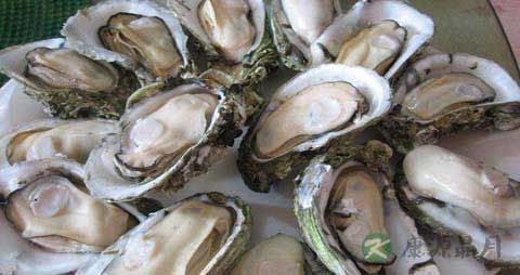 海蛎子的营养价值_吃海蛎子的好处