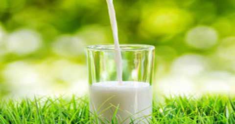 脱脂乳粉的吃法_哪些人不能吃脱脂乳粉 脱脂乳粉的吃法_哪些人不能吃脱脂乳粉