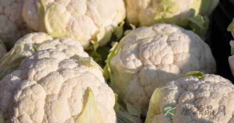 花菜一定要焯水吗 花菜一定要焯水吗