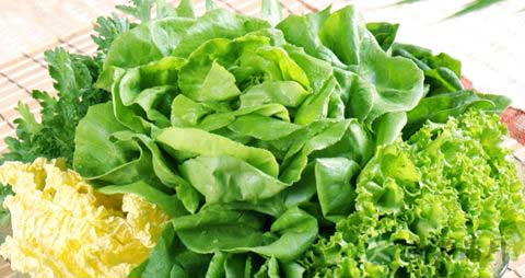 茎用芥菜的营养价值_吃茎用芥菜的好处