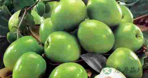 青枣的吃法_哪些人不能吃青枣