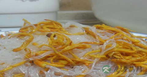 虫草菇怎么吃