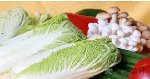 普通白菜的吃法_哪些人不能吃普通白菜