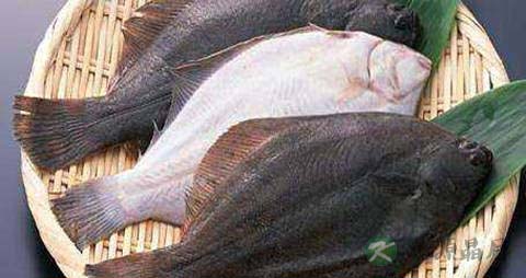片口鱼的营养价值_吃片口鱼的好处 片口鱼的营养价值_吃片口鱼的好处