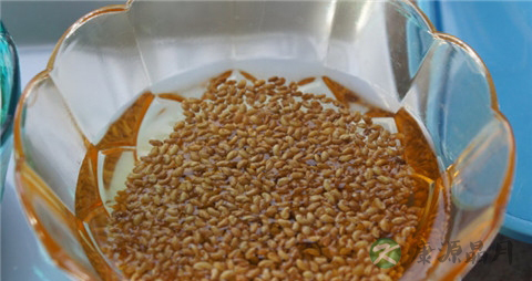 苜蓿芽的营养价值_吃苜蓿芽的好处