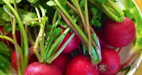 水萝卜的吃法_哪些人不能吃水萝卜