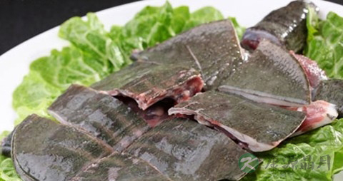 甲鱼的营养价值_吃甲鱼的好处