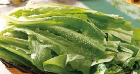 牛俐生菜的营养价值_吃牛俐生菜的好处 牛俐生菜的营养价值_吃牛俐生菜的好处