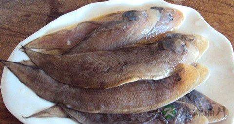 鳎目鱼的营养价值_吃鳎目鱼的好处