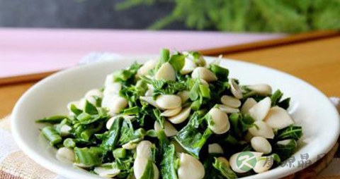 香椿苗的吃法_哪些人不能吃香椿苗