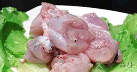 牛蛙的营养价值_吃牛蛙的好处