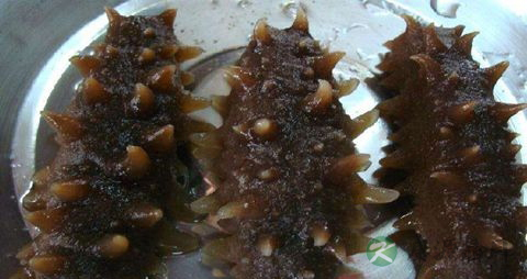 水浸海参的吃法_哪些人不能吃水浸海参