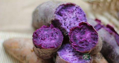 紫薯不能和什么一起吃