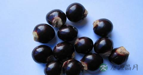 龙眼核的功效与作用