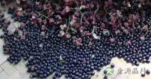 花椒籽的吃法_哪些人不能吃花椒籽