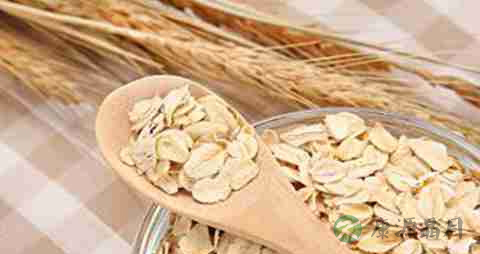 燕麦片的营养价值_吃燕麦片的好处