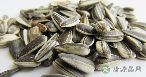 吃瓜子壮阳吗 吃瓜子壮阳吗