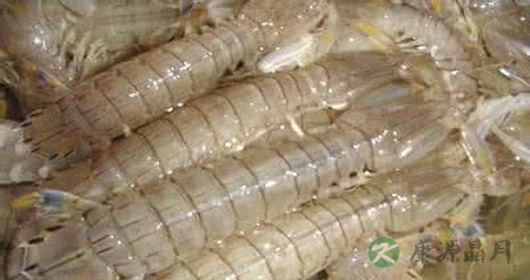 皮皮虾蒸多长时间最好 皮皮虾蒸多长时间最好