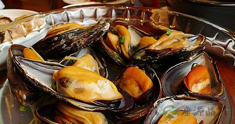 壳菜的营养价值_吃壳菜的好处