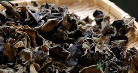 石耳的吃法_哪些人不能吃石耳